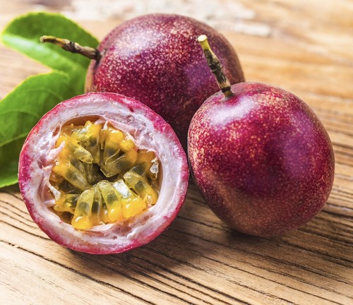 Passion fruit maracuya - fruit, parcha