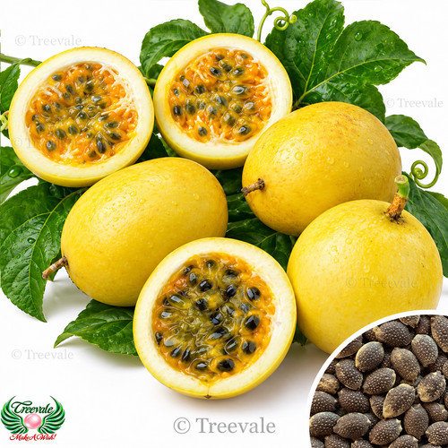 Yellow passion fruit - yellow,