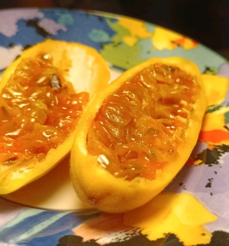 Banana passionfruit seeds - passionfruit,