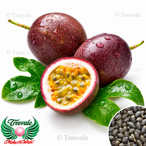 Purple passion fruit - purple,