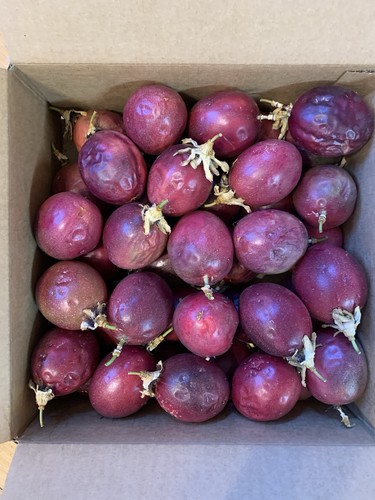Large ripe organic - ripe,