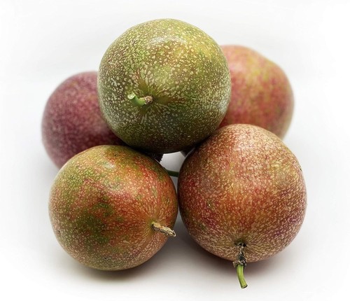 Fresh florida grown passion - florida,
