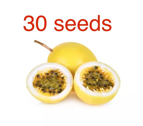 Seeds colombian yellow - colombian,