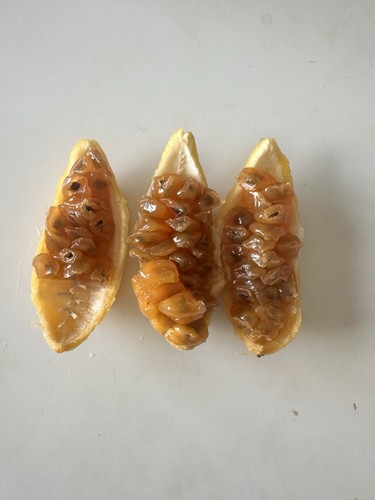 24x banana passion fruit seeds - 24x,