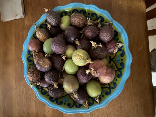 Passion fruit possum purple - passion,