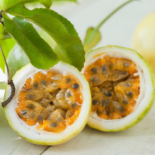 Yellow passion fruit live - passion,