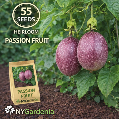 Passion fruit seeds - 55,