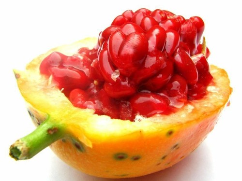Red sugar passion fruit - 50,