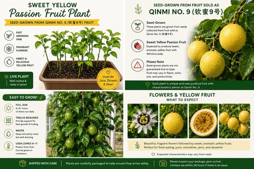 Sweet yellow passion - sweet, fruit